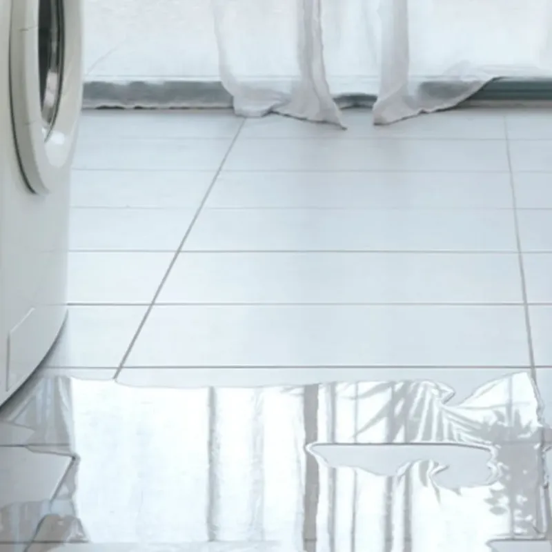 Appliance Leak Cleanup in Vista Santa Rosa, CA