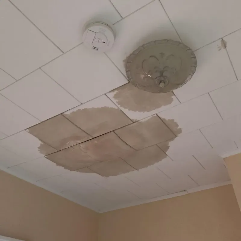 Ceiling Water Damage Repair in Vista Santa Rosa, CA