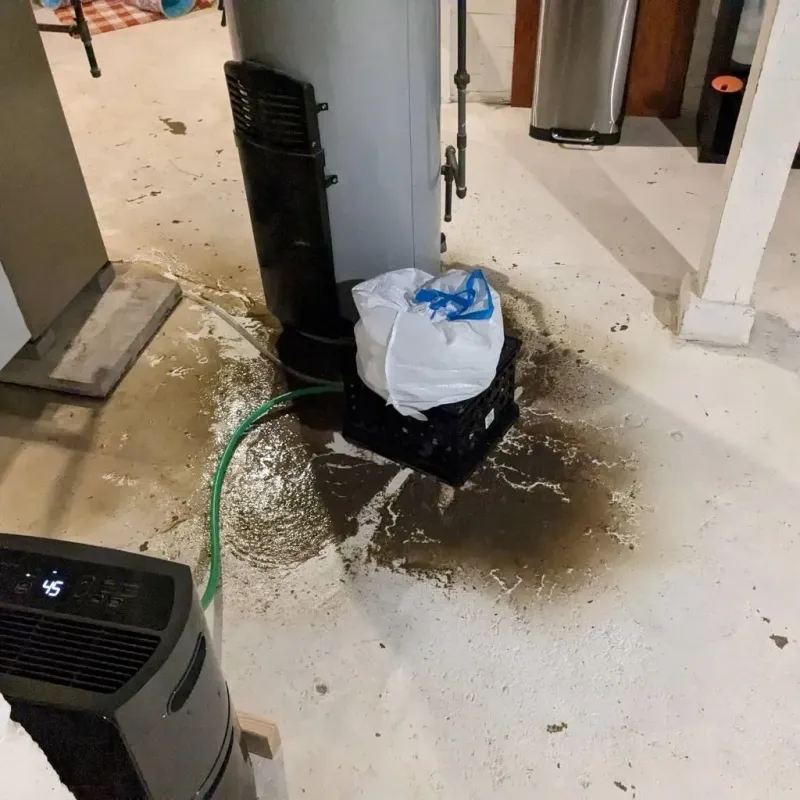 Sewage Backup Cleanup Service in Vista Santa Rosa, CA